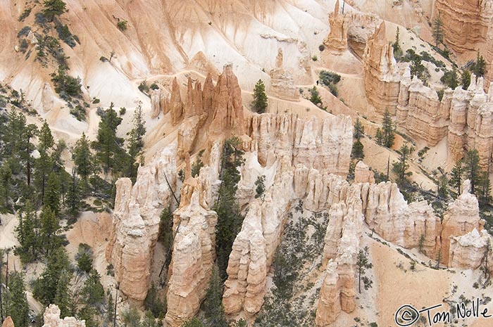 Canyonlands_20080526_171508_892_2X.jpg - This section of Bryce Canyon Utah almost looks like it's made of confectionary sugar.