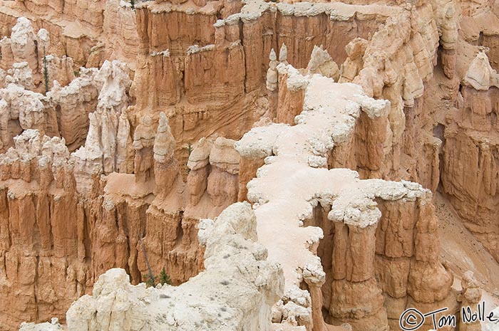 Canyonlands_20080526_171542_900_2X.jpg - A trail of light rock looks like icing on a red cake.  Bryce Canyon Utah.