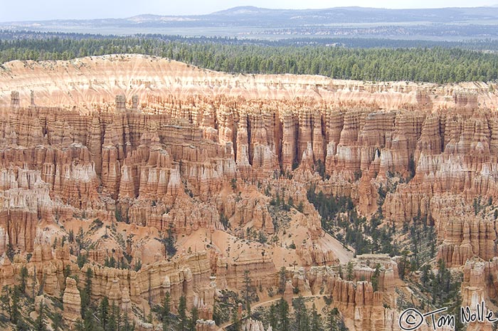 Canyonlands_20080526_171548_901_2X.jpg - This famous formation in Bryce Canyon Utah does look like lines of troups ready for review.