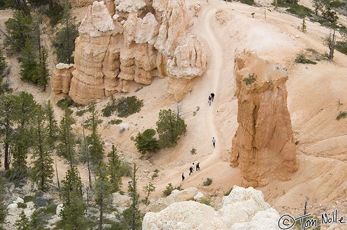 Canyonlands_20080526_172024_924_2X.jpg - Hikers walk along the floor of Bryce Canyon Utah.