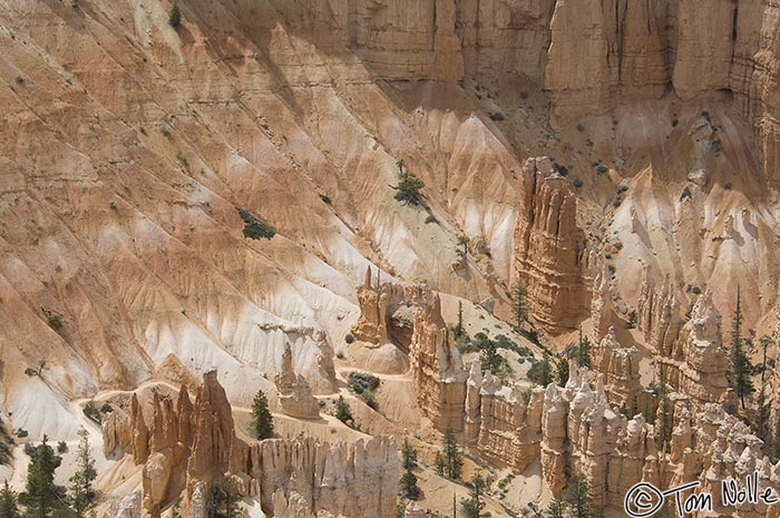 Canyonlands_20080526_172424_936_2X.jpg - The walls and the hoodoo bases in Bryce Canyon Utah show the effects of erosion, sometimes as a set of colored layers.