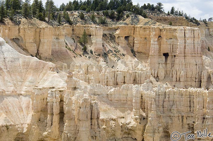 Canyonlands_20080526_172448_941_2X.jpg - This area of the canyon lacks the iron deposits that color other areas red.  Bryce Canyon Utah.