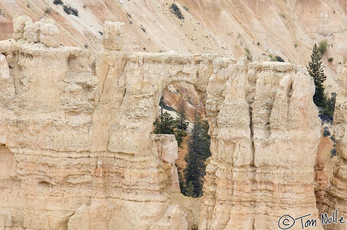 Canyonlands_20080526_172540_942_2X.jpg - Some evergreens peak through a keyhole in the rock of an outcropping in Bryce Canyon Utah.