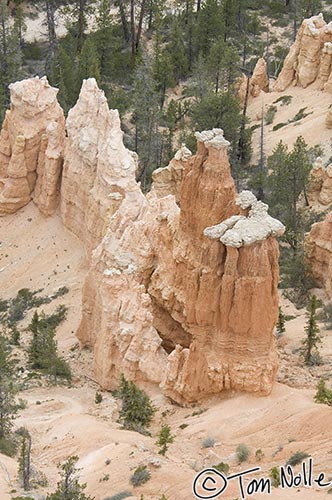 Canyonlands_20080526_172736_949_2X.jpg - Everyone names formations in Bryce Canyon Utah; most names are easily forgettable!