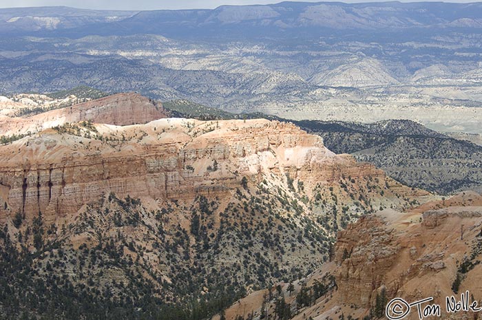 Canyonlands_20080526_172938_951_2X.jpg - A sunbeam shows many contrasts in the Bryce Canyon Utah area; light and dark, red and green and white.