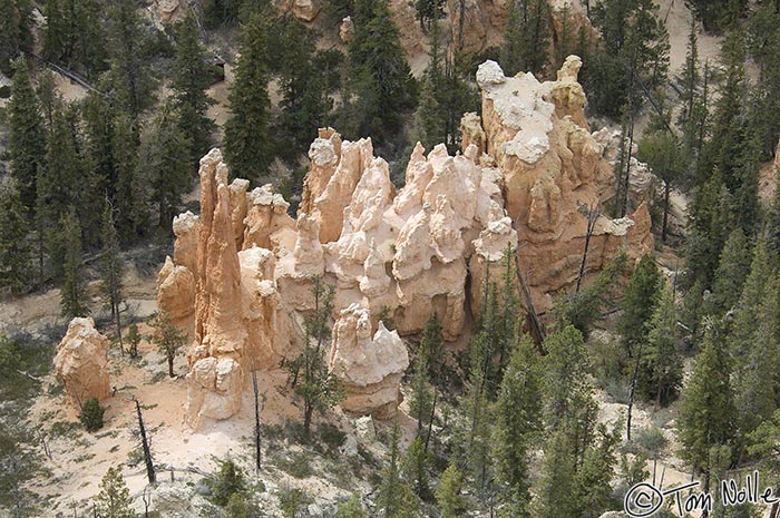 Canyonlands_20080526_173426_953_2X.jpg - Another fanciful interpretation of a rock formation in Bryce Canyon Utah.