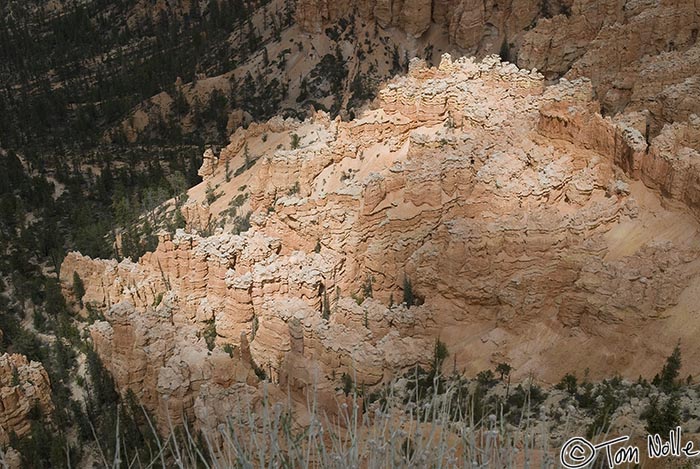 Canyonlands_20080526_173528_712_20.jpg - A stray sunbeam and dark clouds create a striking pattern of light and shadow on the rocks of Bryce Canyon Utah.