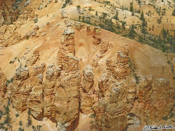 Canyonlands_20080526_173834_421_S.jpg - The famous hoodoos make Bryce Canyon a really unique spot.  Bryce Canyon Utah.