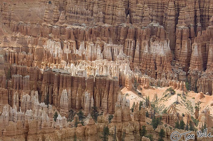 Canyonlands_20080526_173840_967_2X.jpg - Light and red hoodoos contrast sharply in a section of Bryce Canyon Utah.