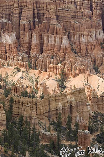 Canyonlands_20080526_173854_971_2X.jpg - A section of the trail on the floor of Bryce Canyon Utah.