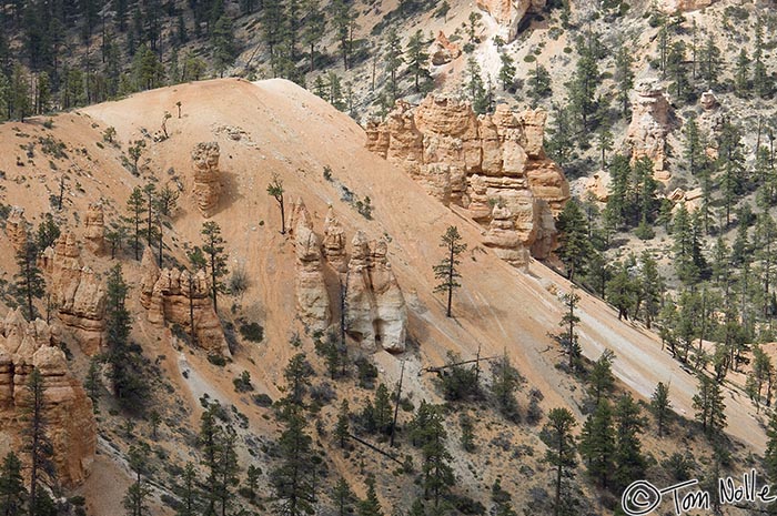 Canyonlands_20080526_174140_980_2X.jpg - Hoodoos are partially buried in a flow of colorful sand.  Bryce Canyon Utah.