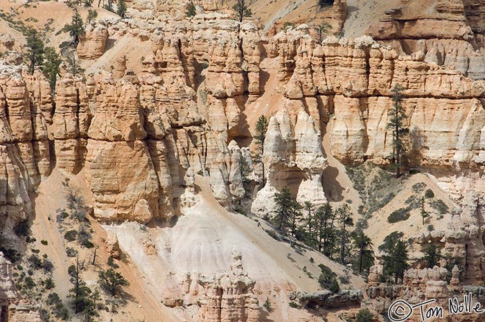 Canyonlands_20080526_174416_989_2X.jpg - Sand eddies around a major birthing area for hoodoos in Bryce Canyon Utah.