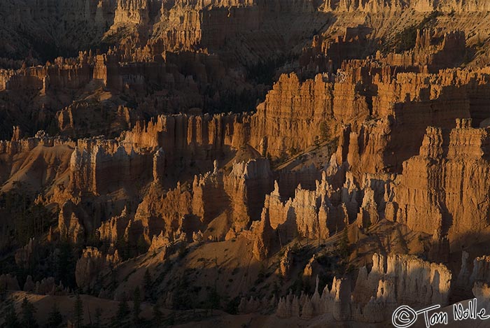 Canyonlands_20080527_082426_744_20.jpg - Even as the sun rises, the deeper parts of the canyon are still in shadow.  Bryce Canyon Utah.