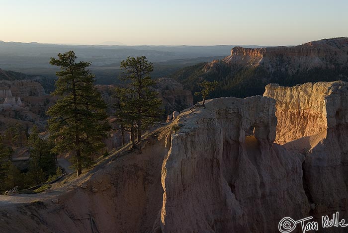 Canyonlands_20080527_082850_755_20.jpg - Trees on the top of a rocky outcrop seem to welcome the dawn in Bryce Canyon Utah.