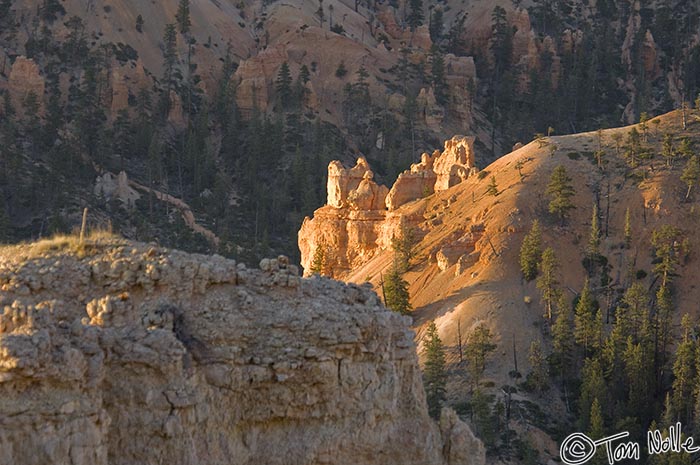 Canyonlands_20080527_082936_212_2X.jpg - A rocky outcropping is liit by a rising sun in Bryce Canyon Utah.