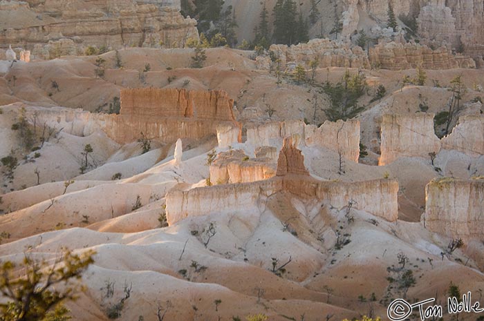 Canyonlands_20080527_082958_219_2X.jpg - Sunrise paints its own colors on the sands of Bryce Canyon Utah.