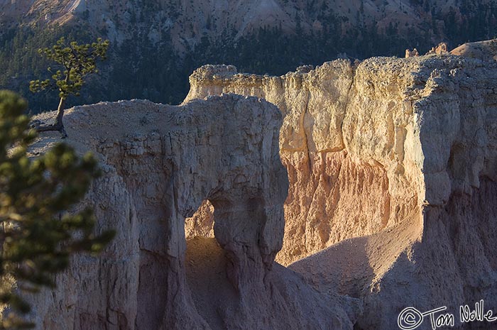 Canyonlands_20080527_083410_260_2X.jpg - The rocky window in the canyon is now coming into full light.  Bryce Canyon Utah.