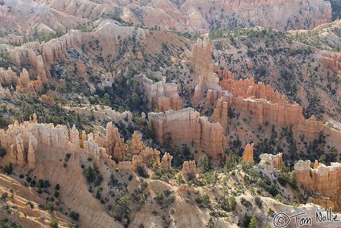 Canyonlands_20080527_102942_789_20.jpg - This area of the canyon is far even from the hiking trails.  Bryce Canyon Utah.