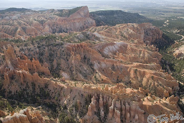 Canyonlands_20080527_102948_791_20.jpg - This section of the canyon shows clearly the work of water and upheaval on Bryce Canyon Utah.