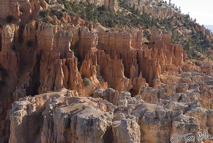 Canyonlands_20080527_105048_936_20.jpg - Layers of hoodoos build like eroded steps up from the floor of the canyon toward the rim.  Bryce Canyon Utah.