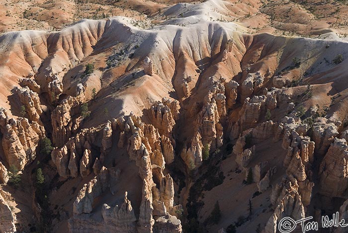 Canyonlands_20080527_105248_948_20.jpg - The canyons between these hoodoos are still completely in shadow even though the day is well along.  Bryce Canyon Utah.