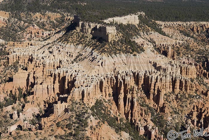 Canyonlands_20080527_105330_956_20.jpg - A high plateau in the main amphitheater of Bryce Canyon Utah.