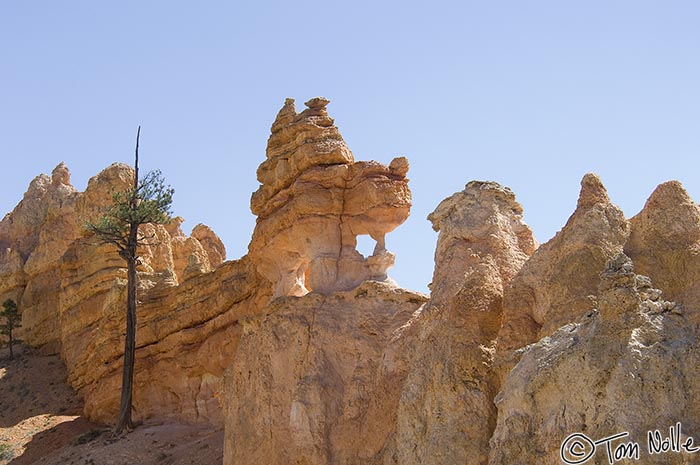 Canyonlands_20080527_131316_477_2X.jpg - Mickey's companion Pluto may be immortalized in this formation, but he's a bit disfigured too. Bristlecone Loop Trail,  Bryce Canyon Utah.