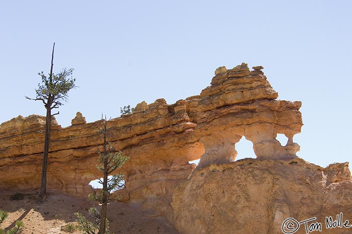 Canyonlands_20080527_132750_482_2X.jpg - From this angle, "Pluto" doesn't work.  Bristlecone Loop Trail, Bryce Canyon , Utah.