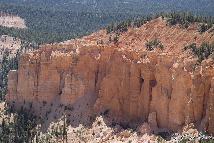 Canyonlands_20080527_172308_994_20.jpg - Some of the rocks in the canyon are more iron-stained than others, giving them a much redder cast.  Bryce Canyon Utah.