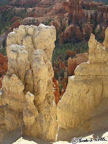 Canyonlands_20080528_113354_441_S.jpg - Light and red stone and green trees create a beautiful contrast in Bryce Canyon Utah.