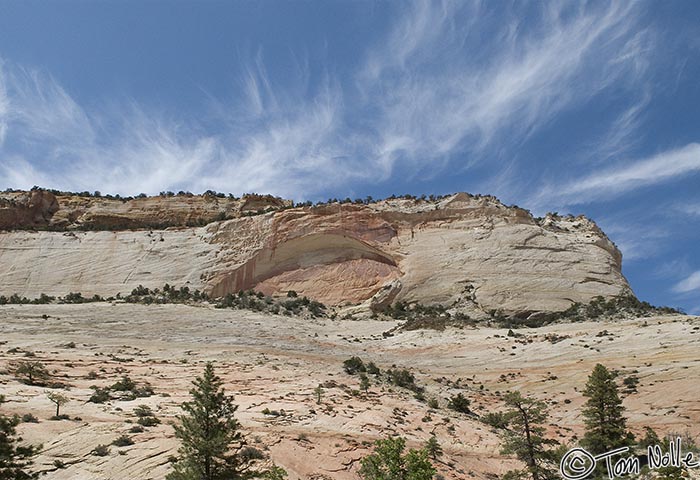 Canyonlands_20080528_172338_068_20.jpg - A major slab fell from this cliff, creating a unique new face to the mountain.  Zion National Park, Utah.