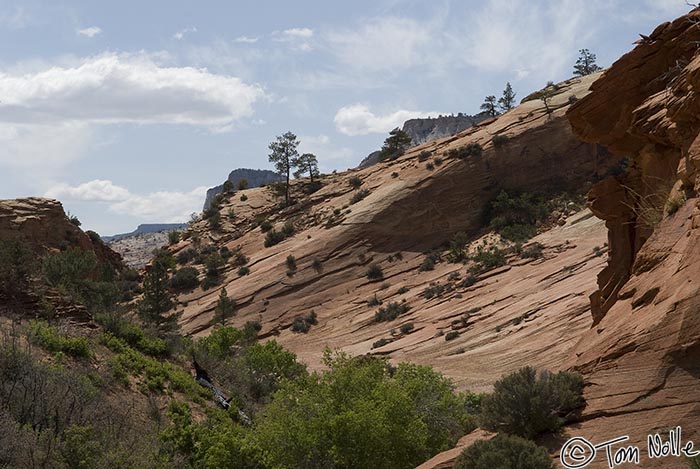 Canyonlands_20080528_172834_070_20.jpg - Deep shadows paint the rocks on one side of a small valley in Zion National Park, Utah.