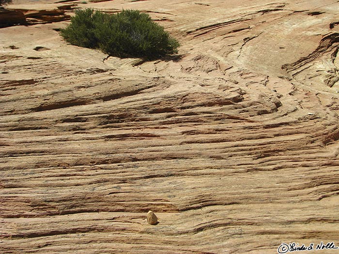 Canyonlands_20080528_173536_448_S.jpg - Eroded folds of rock break like waves around a single stone.  Bryce Canyon Utah.