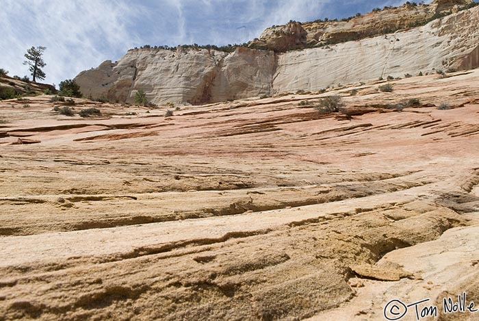 Canyonlands_20080528_173846_085_20.jpg - A sand-grain's view of sandstone.  Zion National Park, Utah.