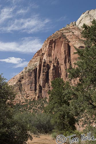 Canyonlands_20080528_181744_104_20.jpg - The Canyon Overlook Trail provides some stunning views, particularly on a sunny day with nice white clouds.  Zion National Park, Utah.