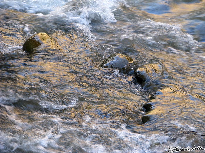 Canyonlands_20080529_113904_463_S.jpg - Morning light shines off the water in a small eddy in a river in Zion National Park, Utah.