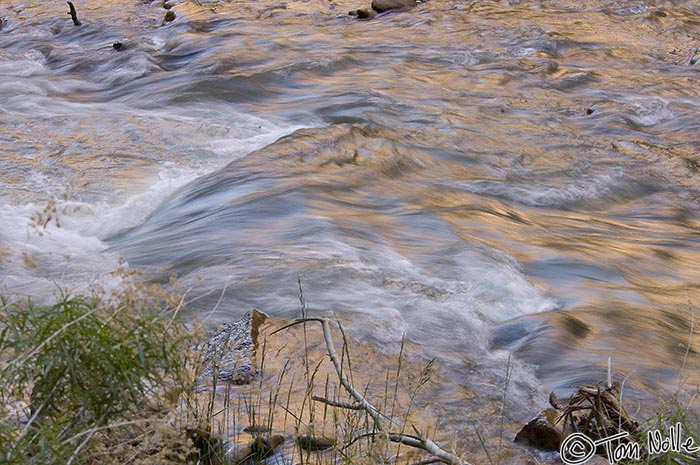 Canyonlands_20080529_114418_214_2X.jpg - The morning light is getting stronger and making this small waterfall into a milky flow.  Zion National Park, Utah.