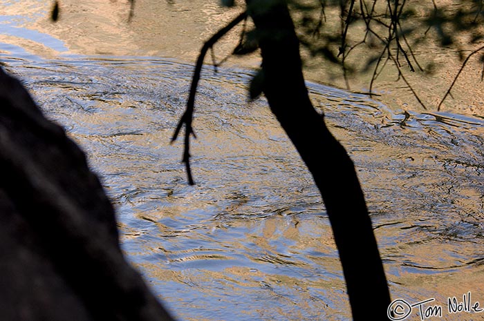 Canyonlands_20080529_114702_220_2X.jpg - Eddies on the surface of the river cast their own dark shadows in the early light.  Zion National Park, Utah.