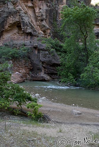 Canyonlands_20080529_115704_189_20.jpg - A bend in the river is sheltered by cliffs and trees.  Zion National Park, Utah.