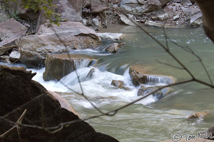 Canyonlands_20080529_120214_299_2X.jpg - Brambles and rocks obstruct the river, creating picturesque flows and falls.  Zion National Park, Utah.