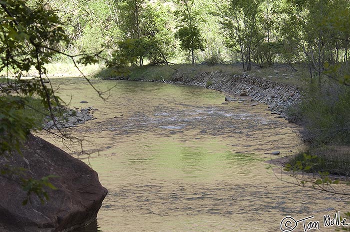 Canyonlands_20080529_124946_370_2X.jpg - The source of this green color might be algae or reflection from the trees, but it was visible from time to time along this river.  Zion National Park, Utah.