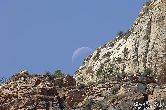 Canyonlands_20080529_140156_382_2X.jpg - The moon is finally disappearing behind the high cliffs of Zion National Park, Utah.