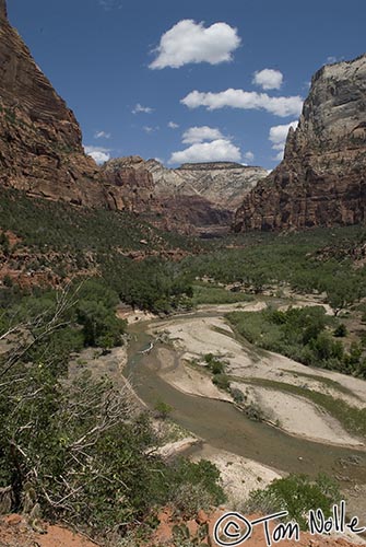 Canyonlands_20080529_152202_201_20.jpg - As the river flows out of the steep-sided part of the canyon, it starts to grow sandbars and look more like a western, lazy, river.  Zion National Park, Utah.