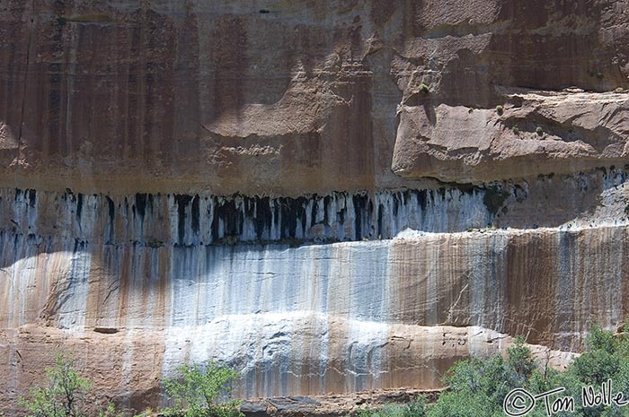 Canyonlands_20080529_155740_451_2X.jpg - When a layer of permeable rock sits on a denser layer, this can be a result.  Water seeping down stops at the dense rock and works its way horizontally, dissolving copper and iron salts along the way.  Zion National Park, Utah.