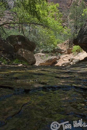 Canyonlands_20080529_160444_213_20.jpg - Water flows over a shallow bed or rocks in Zion National Park, Utah.