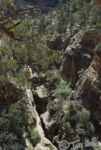 Canyonlands_20080530_120412_244_20.jpg - This is a nice hiking trail off the main road through Zion National Park, Utah.