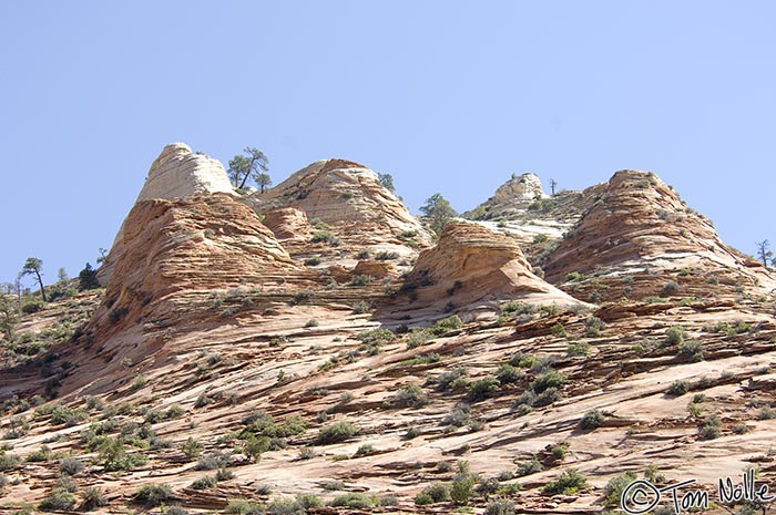 Canyonlands_20080530_123808_581_2X.jpg - The rocky layers of this formation form intricate patterns of light and shadow.  Zion National Park, Utah.