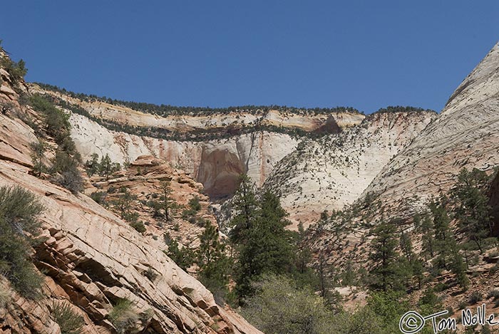 Canyonlands_20080530_134228_273_20.jpg - As we drive out, the scenery is as stunning as when we arrived.  Zion National Park, Utah.