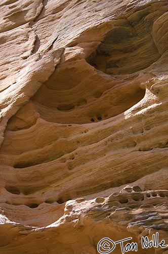 Canyonlands_20080530_141234_609_2X.jpg - Erosion has carved some strange shapes into this cliff outside Zion National Park, Utah.