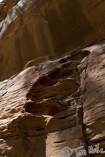 Canyonlands_20080530_141322_318_20.jpg - An undercut ledge shelters this area from light but apparently not from erosion.  Zion National Park, Utah.